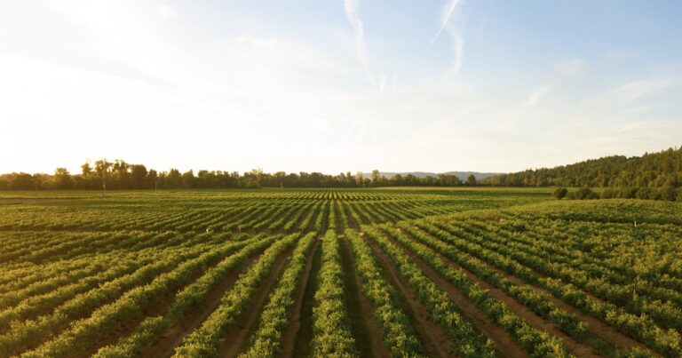 Farm Equipment Financing: Tractors to Combines