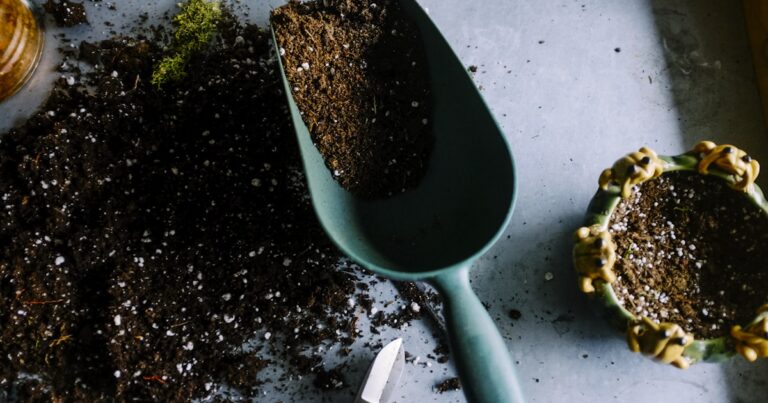 Financing an Organic Farm: Grants and Loans