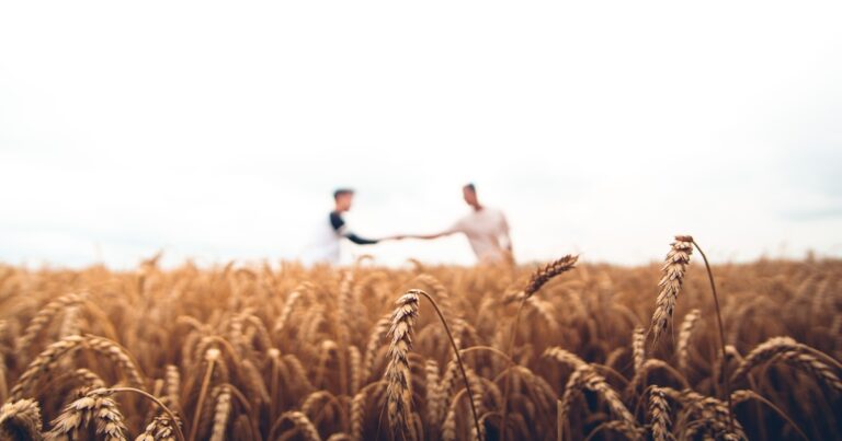 USDA Farm Loans: FSA Programs for Small Farmers